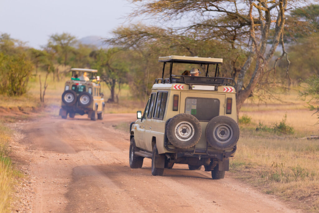 jeeps on african wildlife safari.